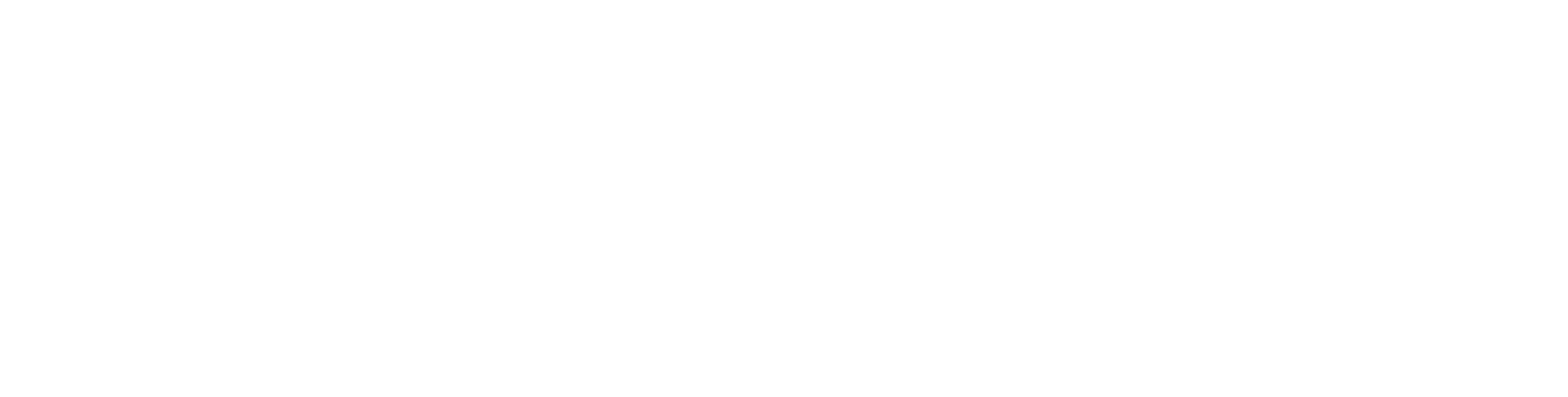 株式会社ＦＥＶＶ